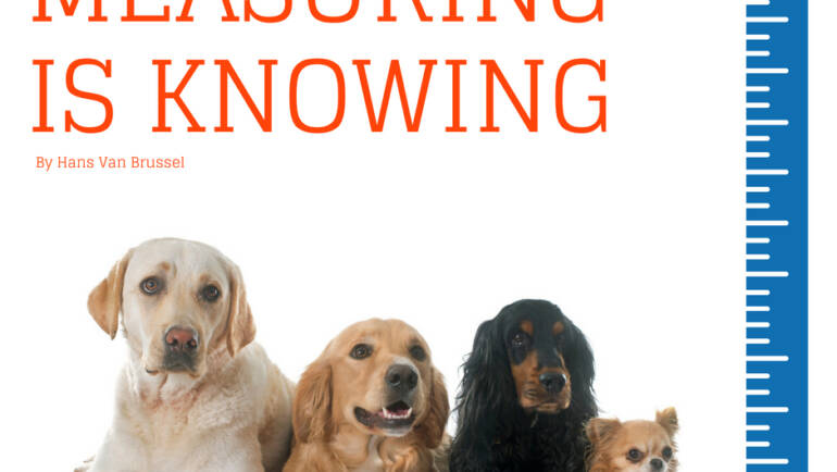 The Titer: Measuring is knowing that your dog or cat is protected