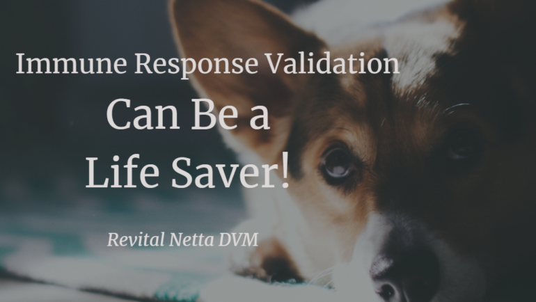 Immune Response Validation Can Be a Life Saver!