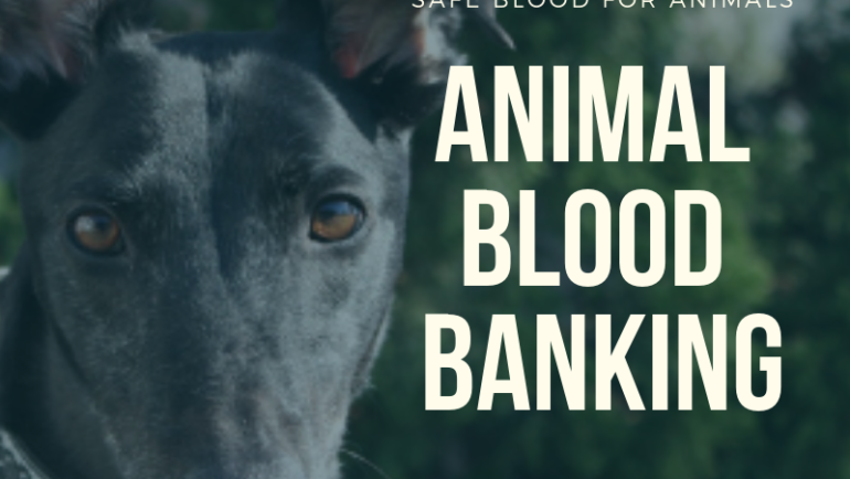 Animal Blood Banking