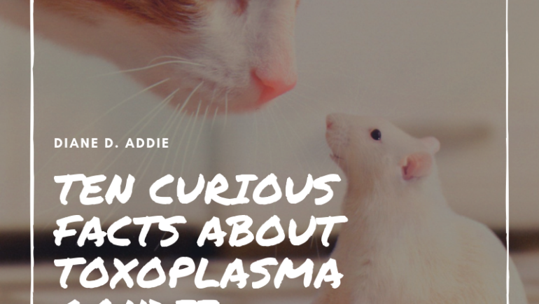Ten curious facts about Toxoplasma gondii