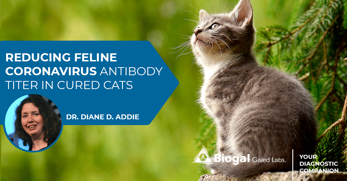 reducing feline coronavirus