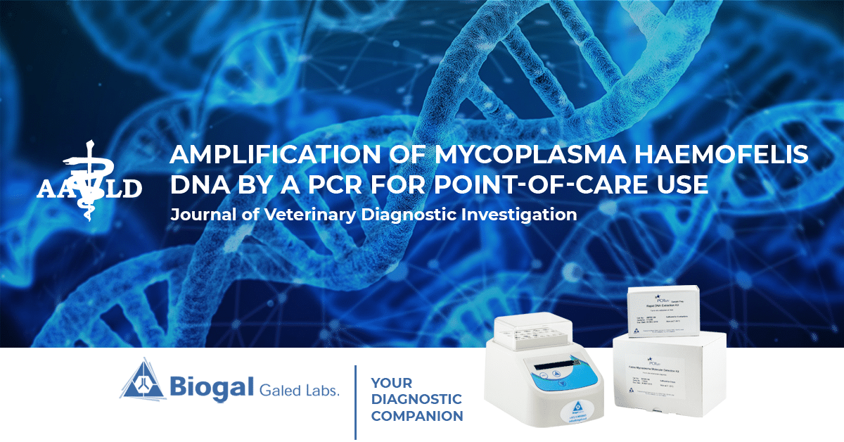 Mycoplasma Haemofelis DNA