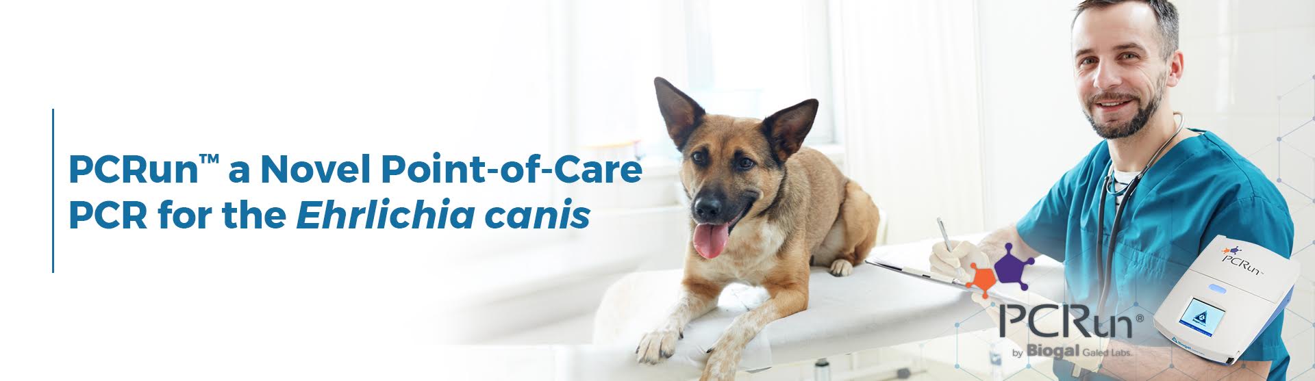 PCRun a Novel Point-of-Care PCR for the Ehrlichia canis