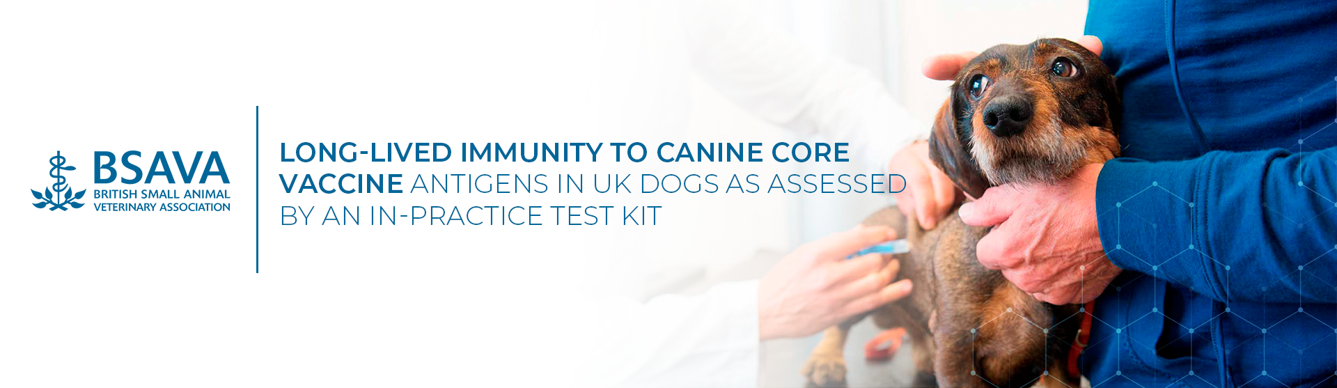 Long-lived immunity to canine core vaccine antigens in UK dogs