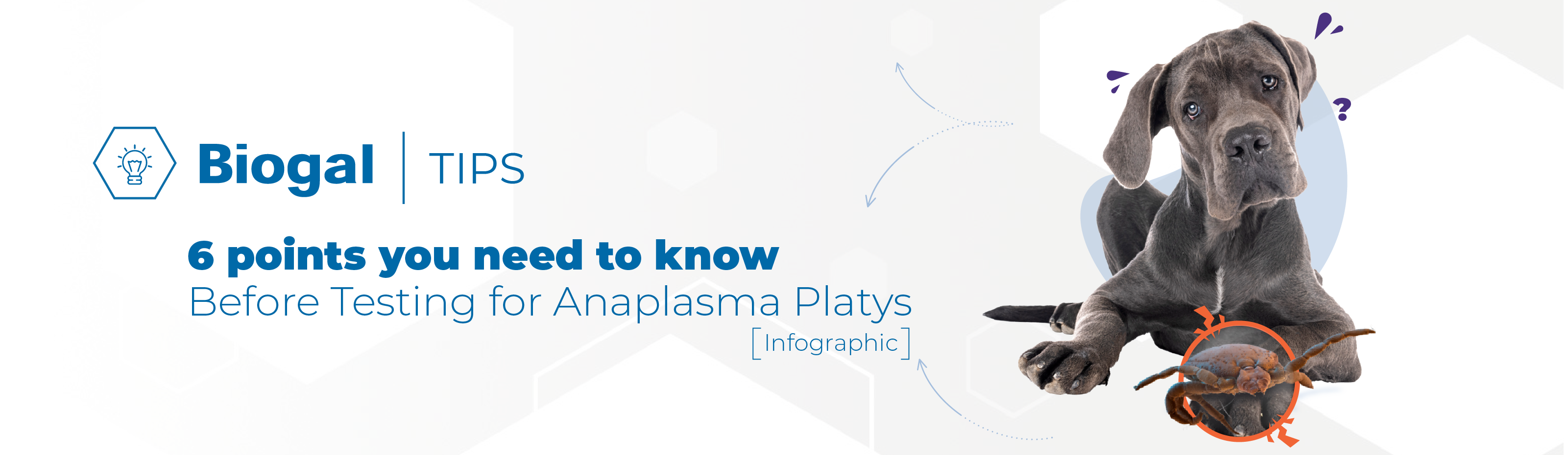 Biogal tips anaplasma platys
