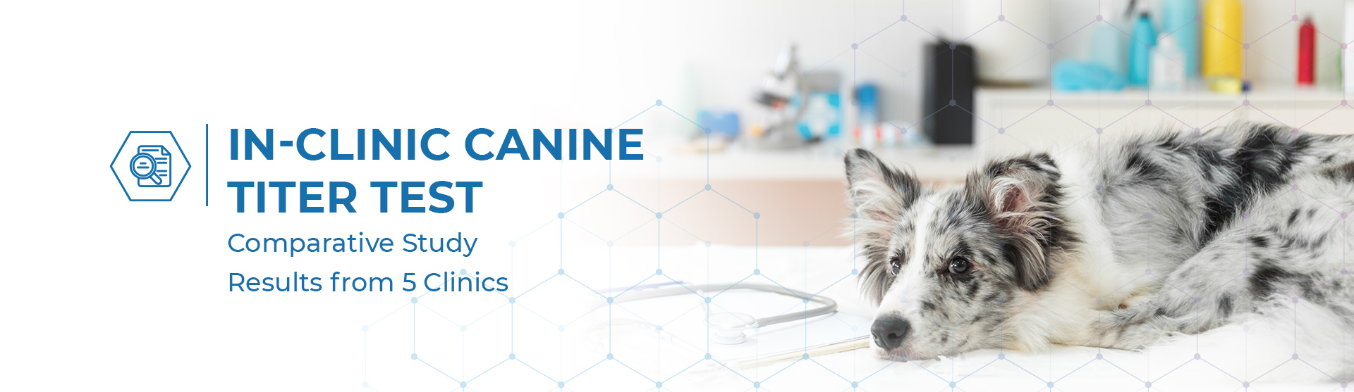 In-clinic canine titer test