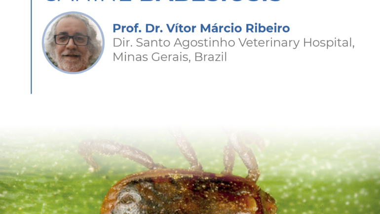 DIAGNOSIS OF CANINE BABESIOSIS