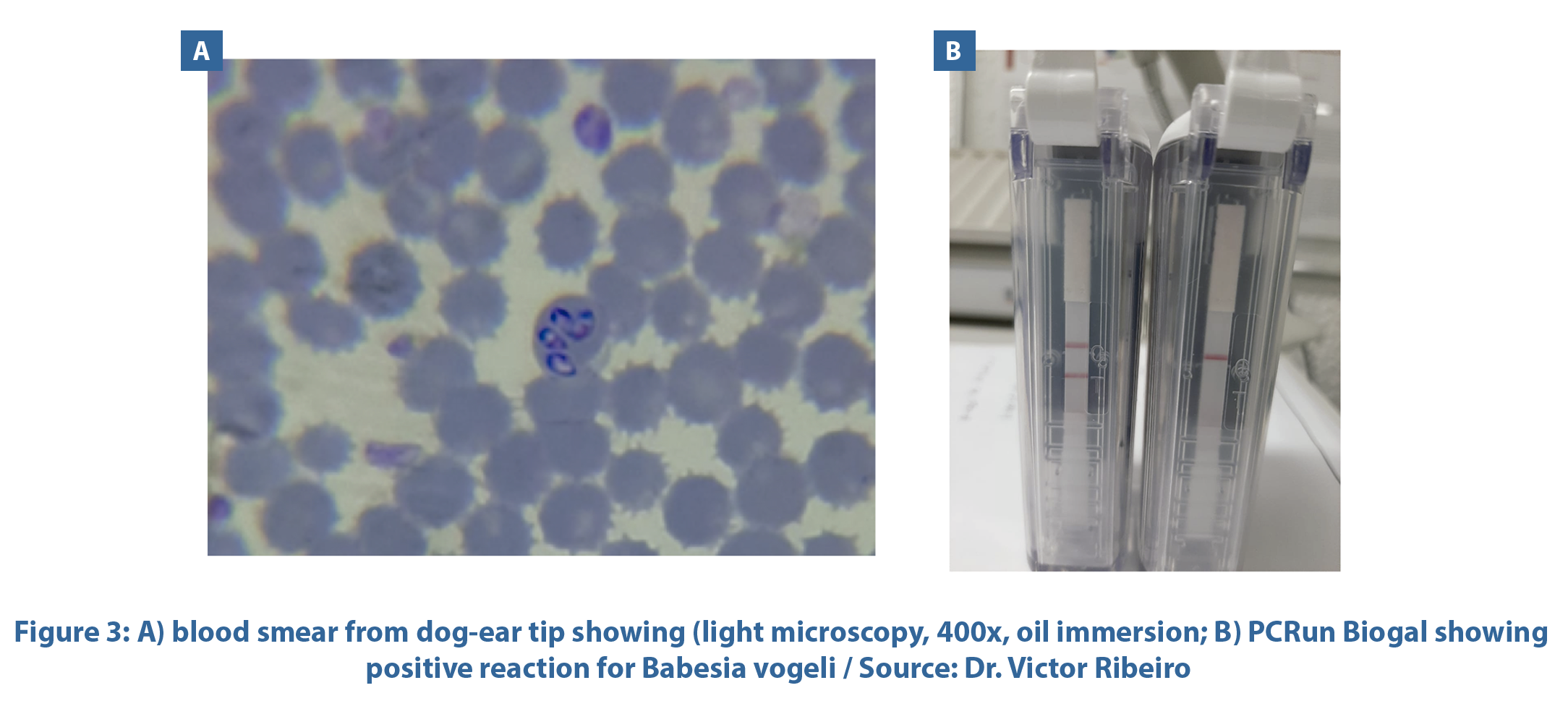 figure 03
