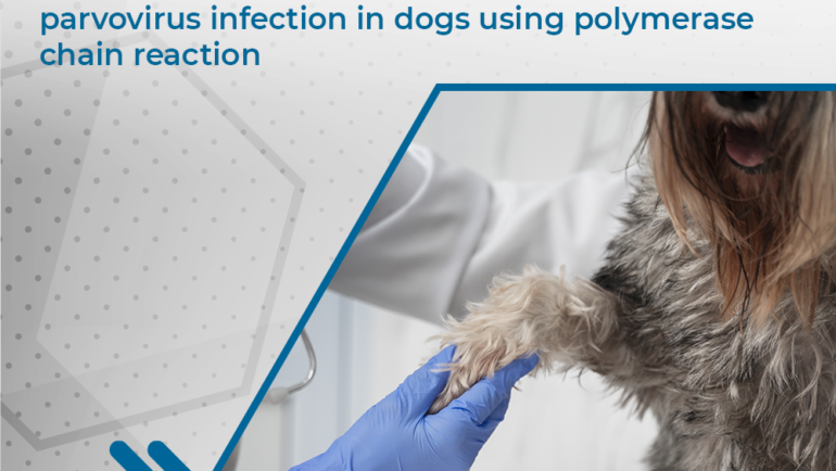 ACVIM – Journal of Veterinary  Internal Medicine