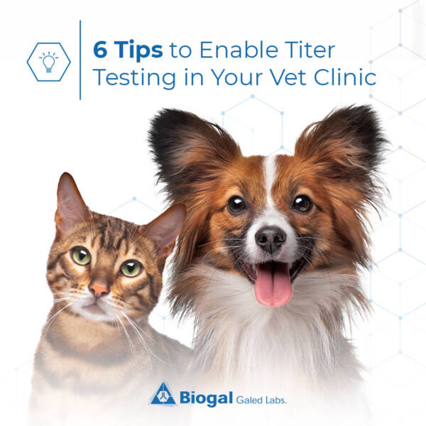 banner_TIPS_Vaccicheck-900x900 (1)