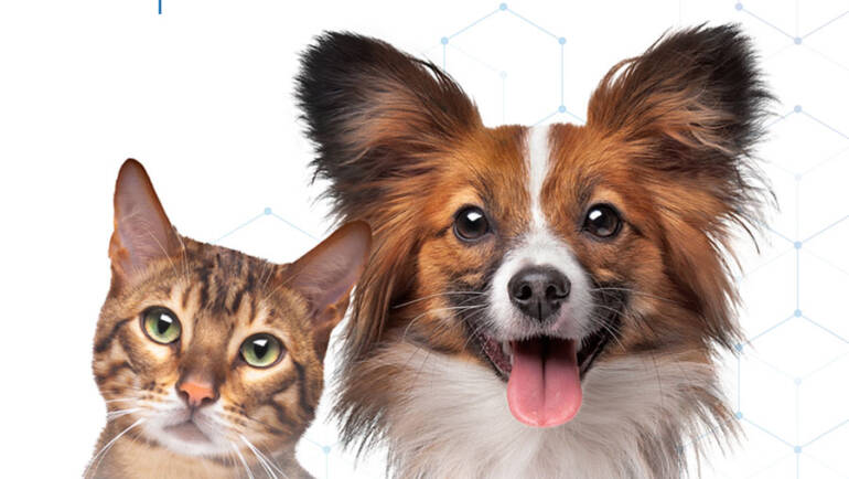 6 Tips to Enable Titer Testing in a Vet Clinic