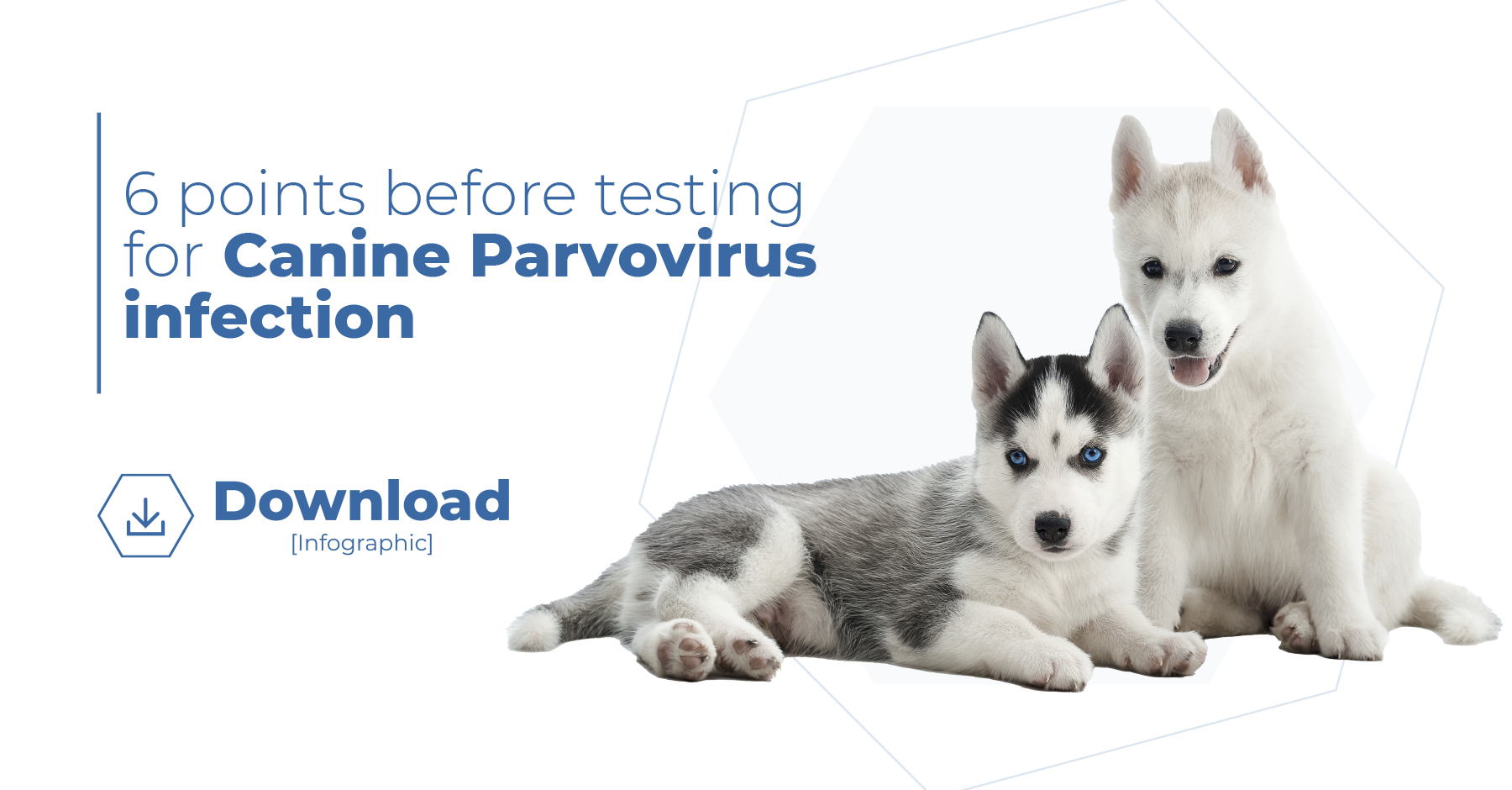Biogal Parvovirus Tips