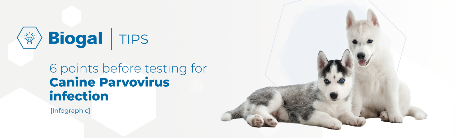 Biogal Parvovirus Tips