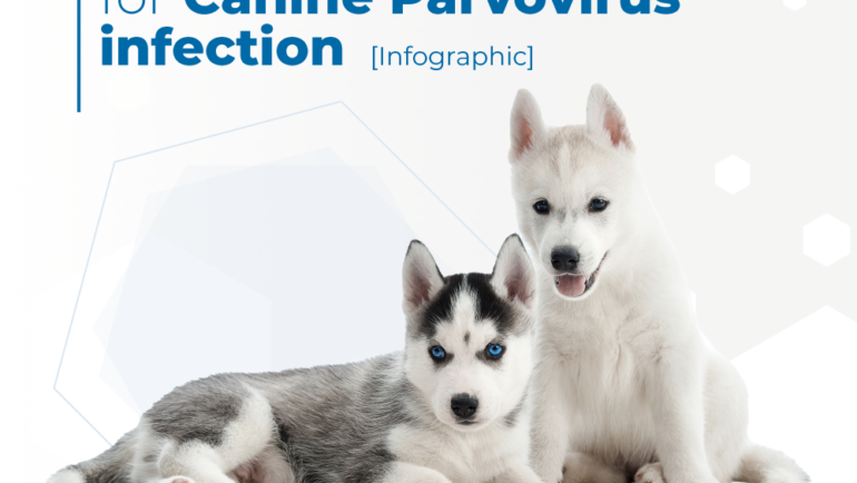 Canine Parvovirus Biogal Tips