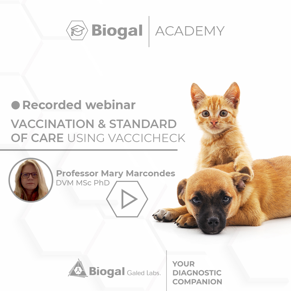 recorded_webinar_dra_mary_marcondes