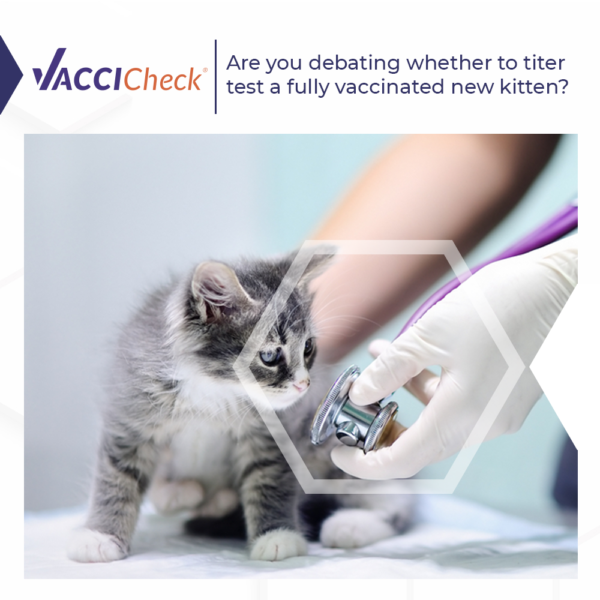 feline_vaccicheck_validate_01 copia