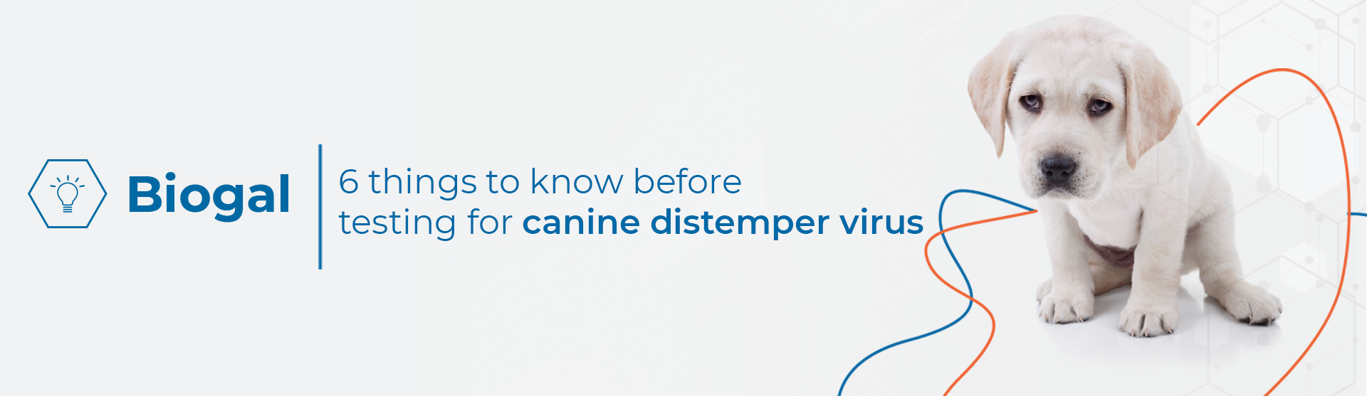 Biogal tips Canine Distemper