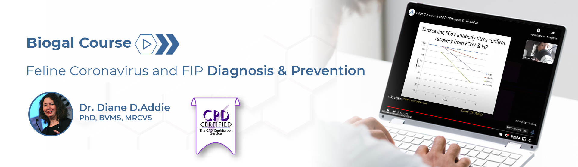 Biogal Academy | Feline Coronavirus and FIP Diagnosis