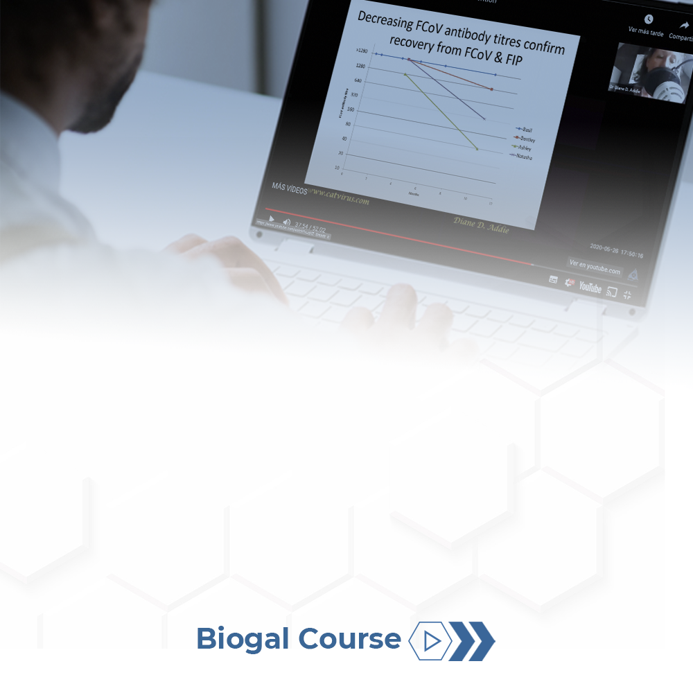 Biogal Academy - Feline Coronavirus and FIP Diagnosis & Prevention