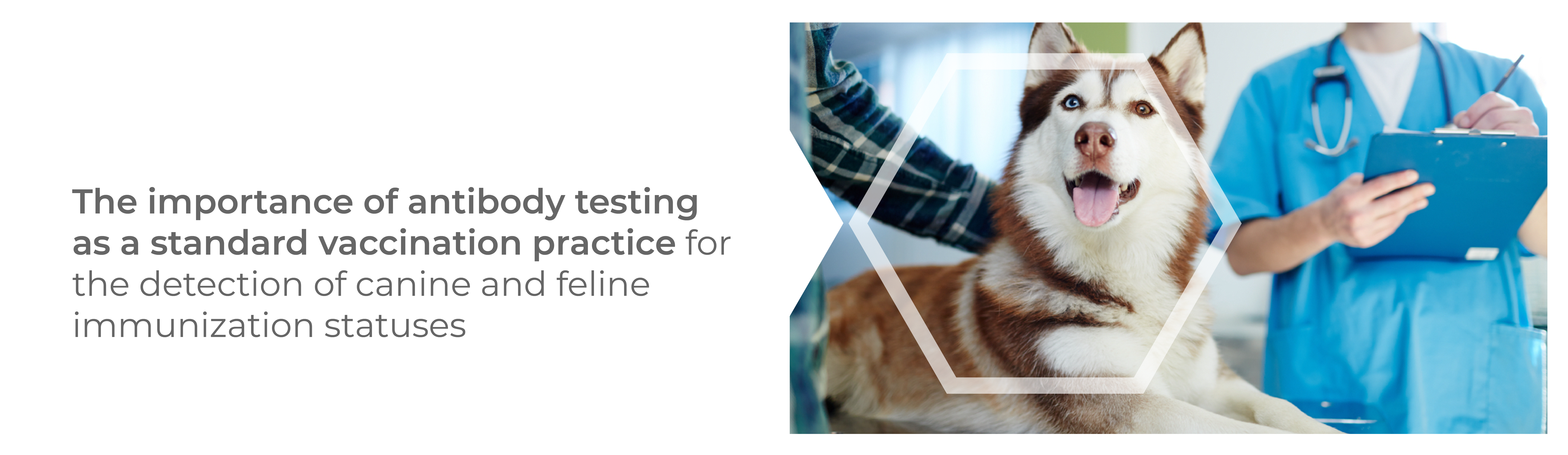Antibody testing AVMA