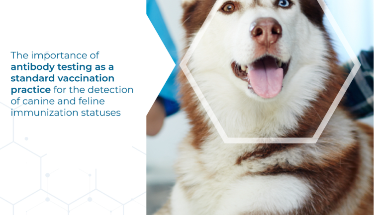 The importance of antibody testing  as a standard vaccination practice