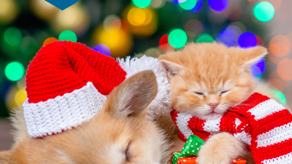From all of us at Biogal, Happy New Year!