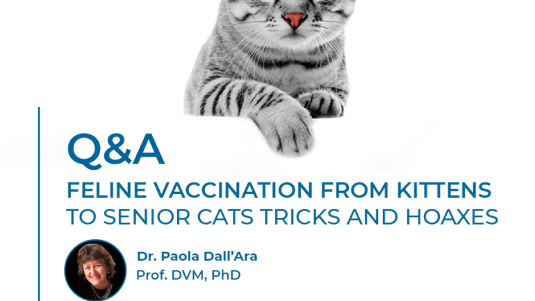 Q&A | Dr. Paola Dall’Ara