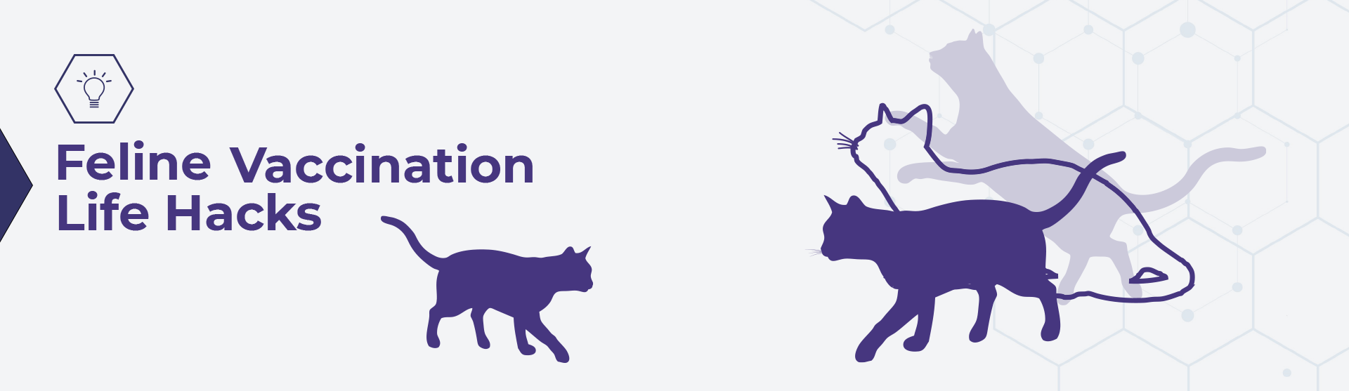 Feline Vavvination Life Hacks