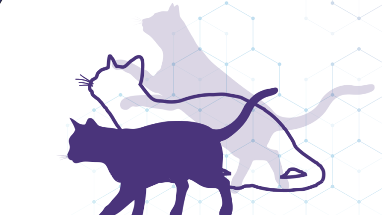Feline Vaccination  Lifehacks