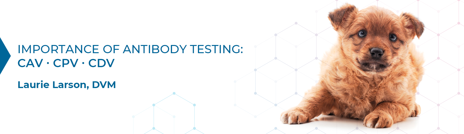 The importance of antibody testing by Laurie Larson