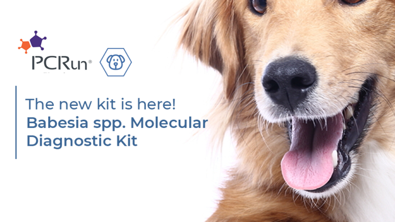New product | Babesia spp. Molecular  Diagnostic Kit