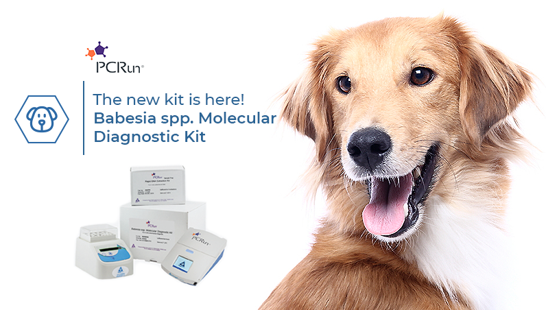 Babesia spp. Molecular Diagnostic Kit