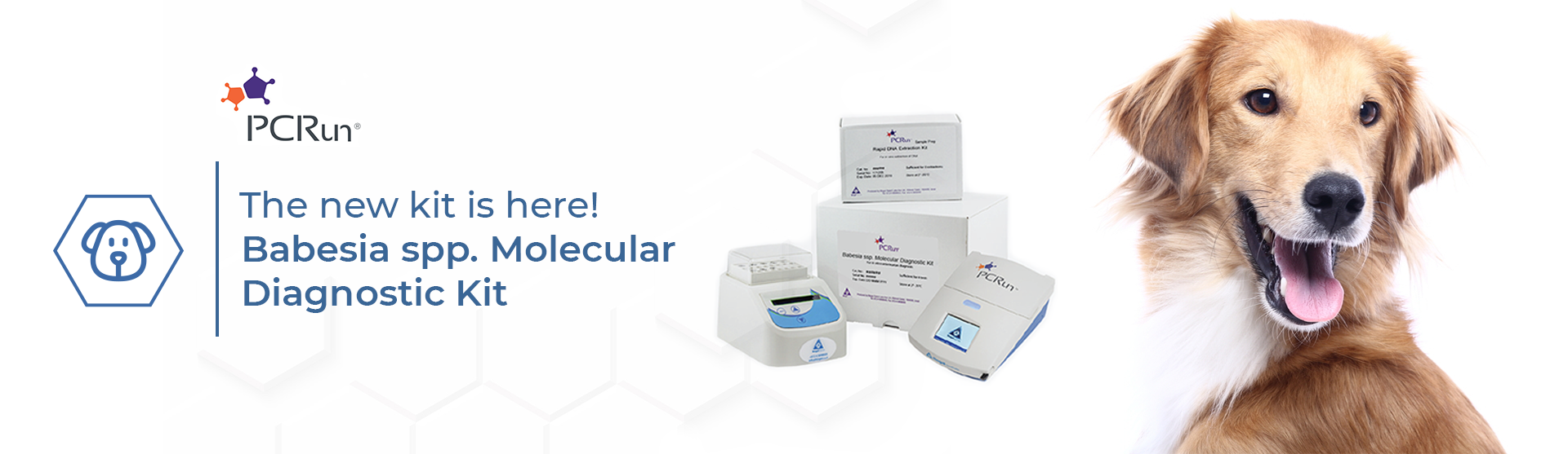 Babesia spp. Molecular Diagnostic Kit