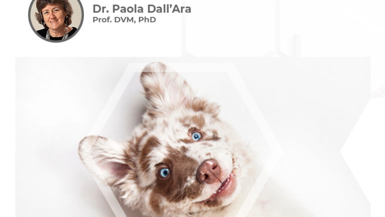 Prevalence of Serum Antibody Titers against Core Vaccine Antigens in Italian Dogs