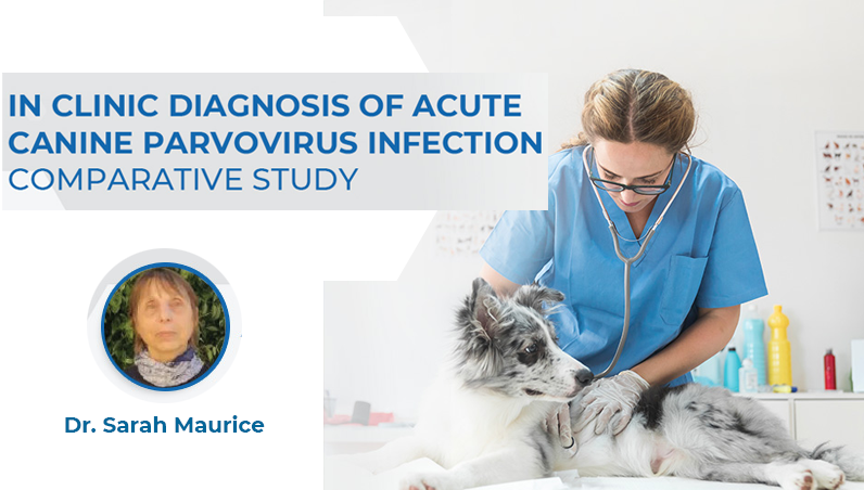In clinic diagnosis of acute canine parvovirus infection