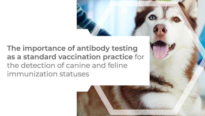 Importance of antibody testing as a standard vaccination practice