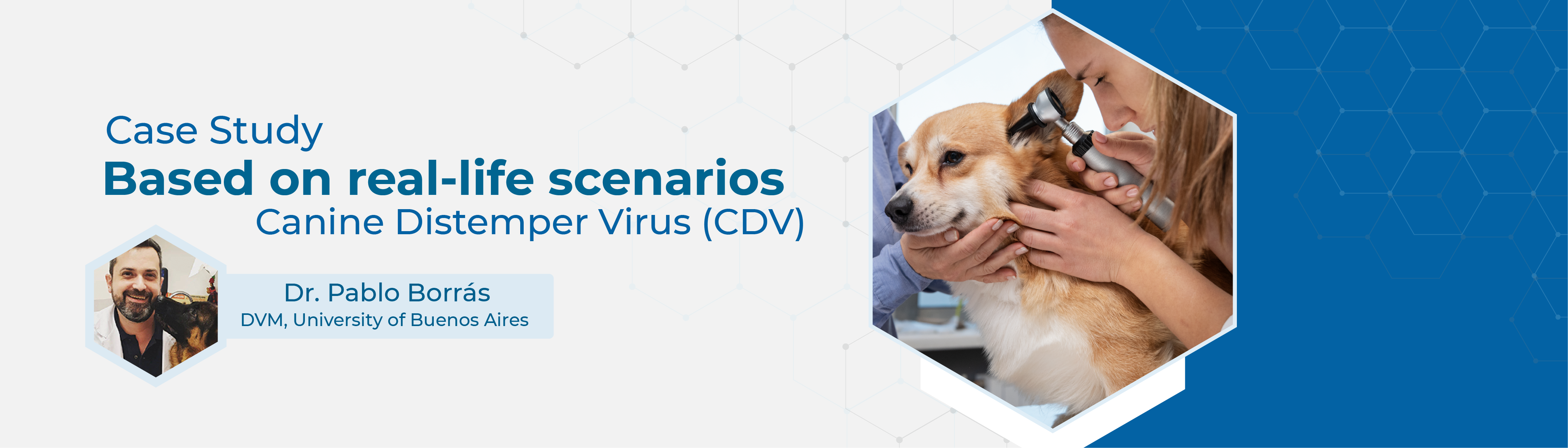 Dr Pablo Borrás Study Case Canine Distemper Virus (CDV)